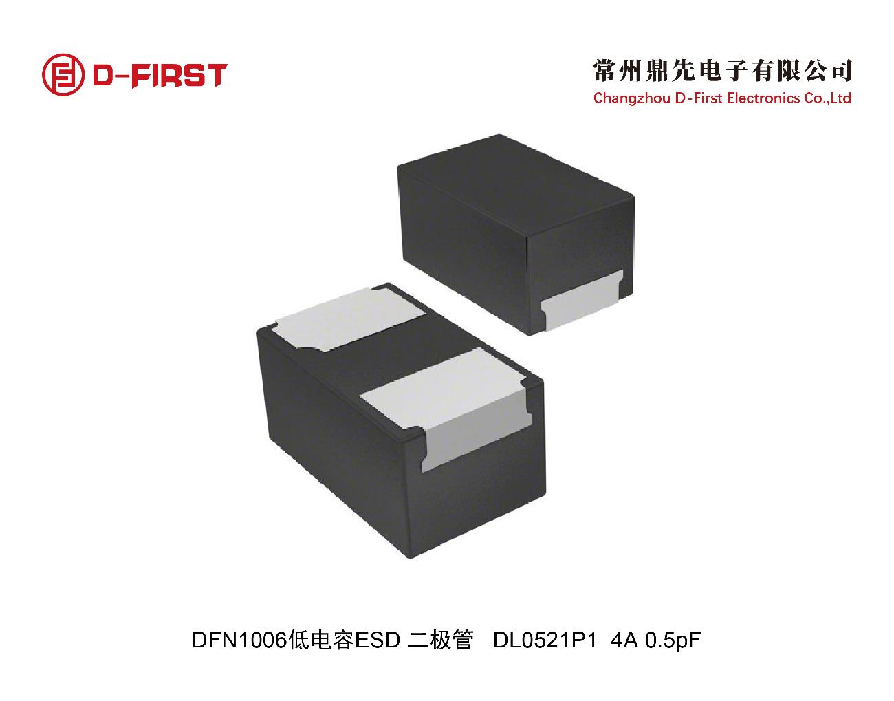 DFN1006 21.jpg