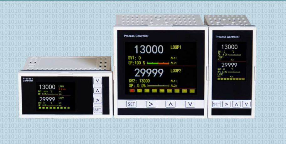 DK2800D双回路温度过程控制仪表200831 DK2800D双回路温度过程控制仪表200831