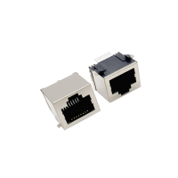 network interface Dual port RJ45 / network transformer