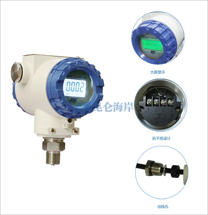 Protective explosion-proof pressure transmitter JYB-KB-PAGAZGF