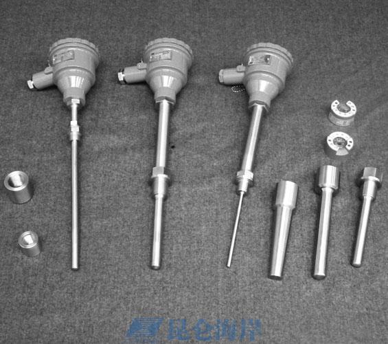 Explosion proof threaded integrated temperature transmitter JWB/2E40/A01