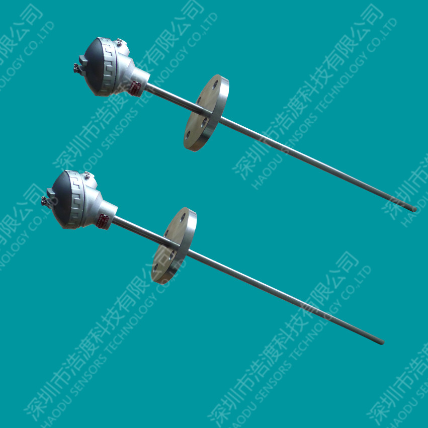 Integrated temperature sensor PT100/PT1000