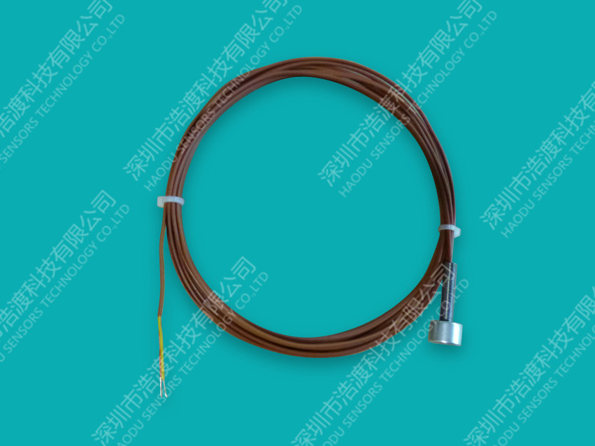 Magnetic suction temperature sensor PT100/PT1000