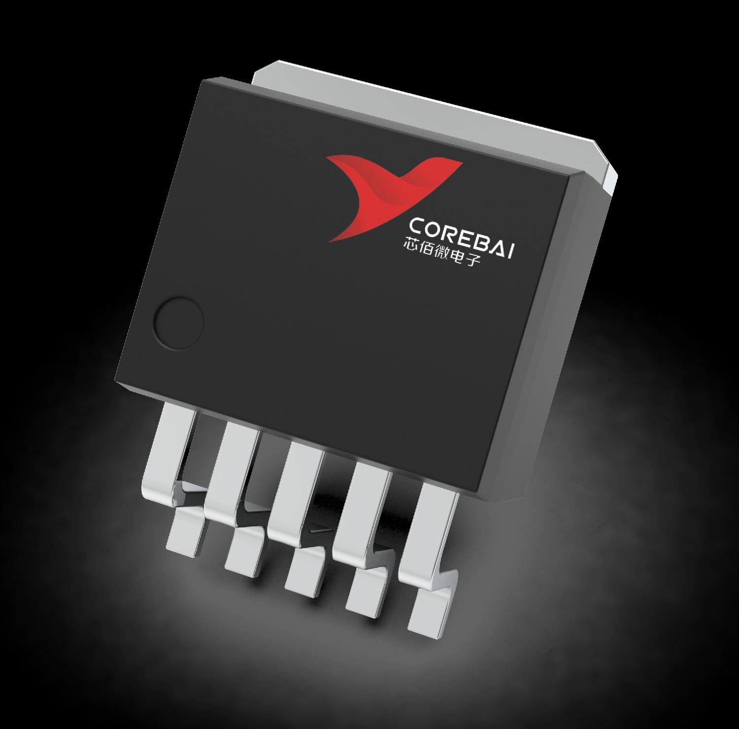 Low cost microprocessor monitoring circuit CBM810J