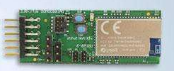 Integrated circuit R5F10PGJ