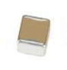 Ceramic capacitor 0402CG1R7C500NT
