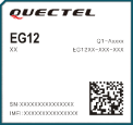 integrated circuit EG12-GT