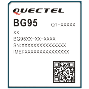 integrated circuit BG95-M1